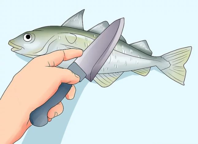نحوه پاک کردن ماهی